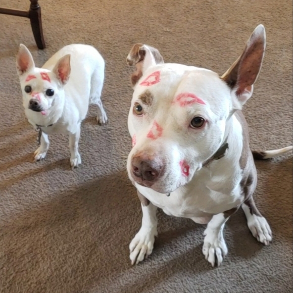 Happy Valentine's Day! ❤️ - Picture 2 of 14